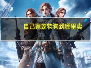 自己家宠物狗到哪里卖