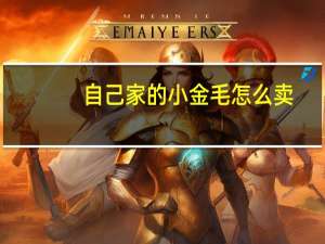 自己家的小金毛怎么卖