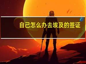 自己怎么办去埃及的签证