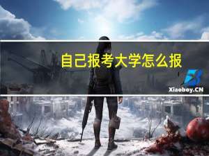 自己报考大学怎么报