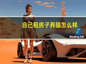 自己租房子养猫怎么样