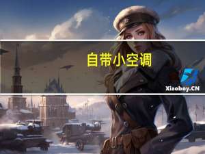 自带小空调