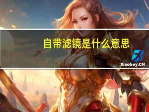 自带滤镜是什么意思