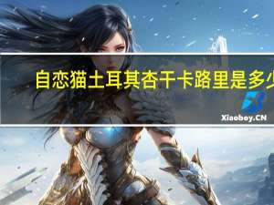 自恋猫 土耳其杏干卡路里是多少