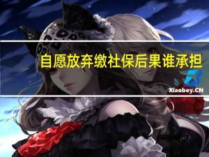 自愿放弃缴社保后果谁承担