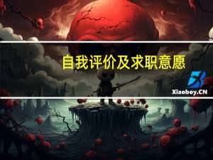 自我评价及求职意愿