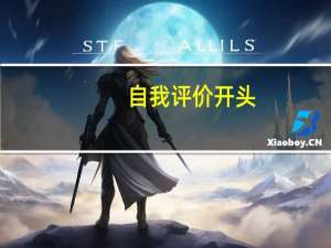 自我评价开头