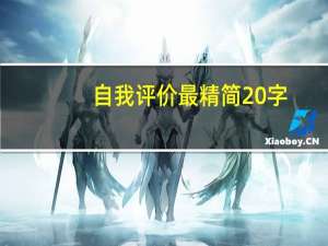 自我评价最精简20字（员工自评怎么写简短）