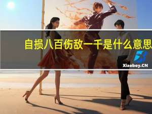 自损八百伤敌一千是什么意思