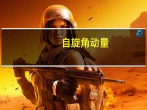 自旋角动量（自旋）