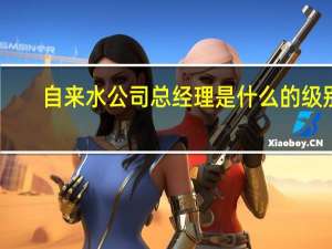 自来水公司总经理是什么的级别