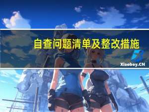 自查问题清单及整改措施