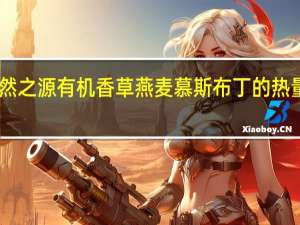 自然之源 有机香草燕麦慕斯布丁的热量是多少