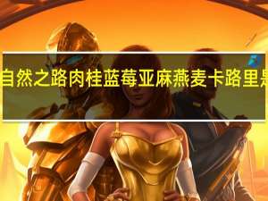 自然之路 肉桂蓝莓亚麻燕麦卡路里是多少