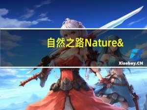 自然之路 Nature's Path 综合口味麦片(苹果肉桂味)卡路里是多少