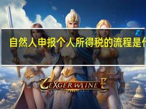 自然人申报个人所得税的流程是什么