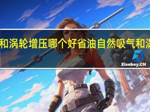 自然吸气和涡轮增压哪个好省油 自然吸气和涡轮增压哪个好