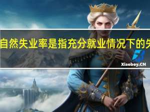 自然失业率是指充分就业情况下的失业率（自然失业率是指）