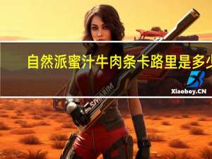 自然派蜜汁牛肉条卡路里是多少