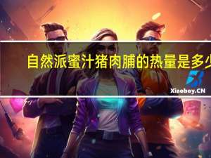 自然派 蜜汁猪肉脯的热量是多少