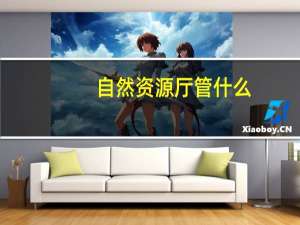 自然资源厅管什么