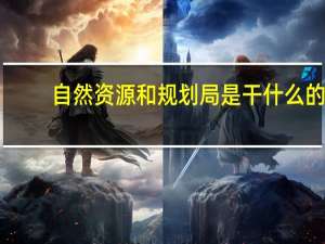 自然资源和规划局是干什么的