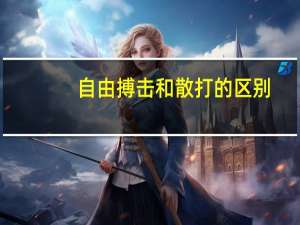 自由搏击和散打的区别