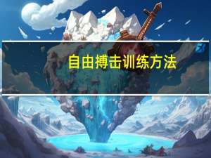 自由搏击训练方法