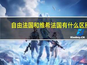 自由法国和维希法国有什么区别