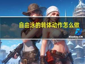 自由泳的转体动作怎么做