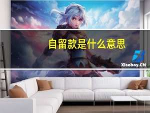 自留款是什么意思