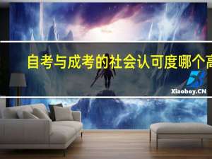自考与成考的社会认可度哪个高