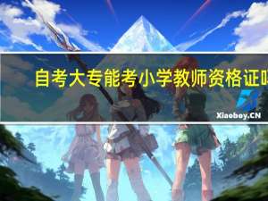 自考大专能考小学教师资格证吗