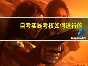 自考实践考核如何进行的