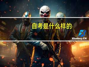 自考是什么样的