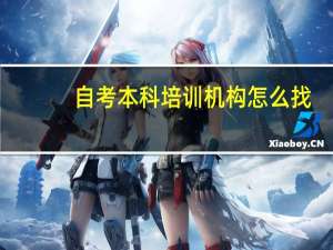 自考本科培训机构怎么找