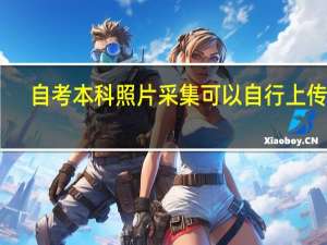 自考本科照片采集可以自行上传吗
