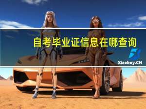 自考毕业证信息在哪查询