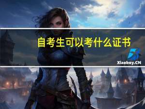 自考生可以考什么证书