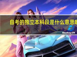 自考的独立本科段是什么意思啊