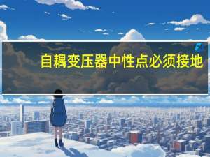 自耦变压器中性点必须接地