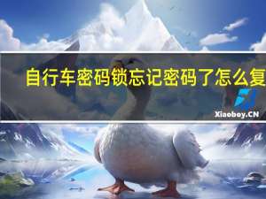 自行车密码锁忘记密码了怎么复位（密码锁忘记密码了怎么复位）