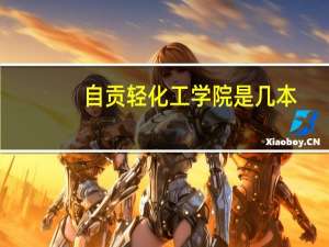 自贡轻化工学院是几本