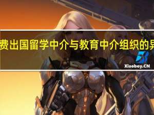 自费出国留学中介与教育中介组织的异同分析