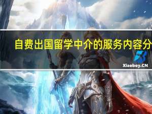 自费出国留学中介的服务内容分析