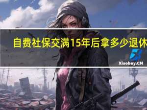 自费社保交满15年后拿多少退休金