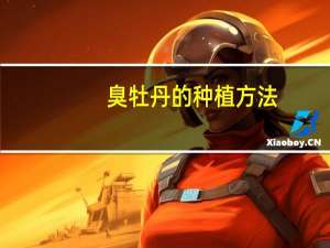 臭牡丹的种植方法