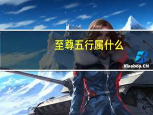 至尊五行属什么（五行至尊决简介）