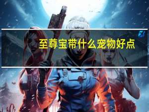 至尊宝带什么宠物好点
