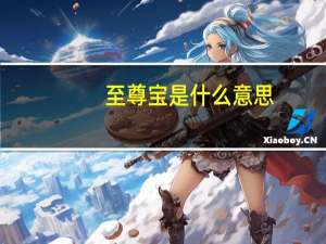 至尊宝是什么意思？